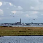Glebbe 17 - Suedblick * Zingst