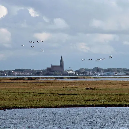 Glebbe 17 - Suedblick * Zingst