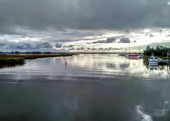 Glebbe 17 - Südblick * Zingst