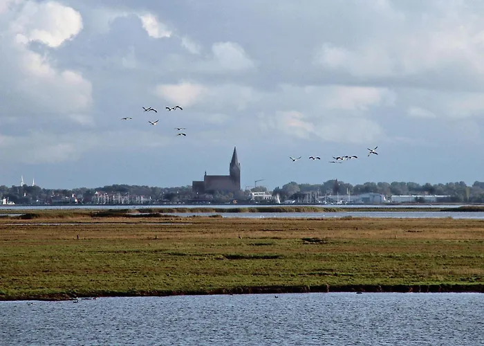Glebbe 17 - Südblick * Zingst